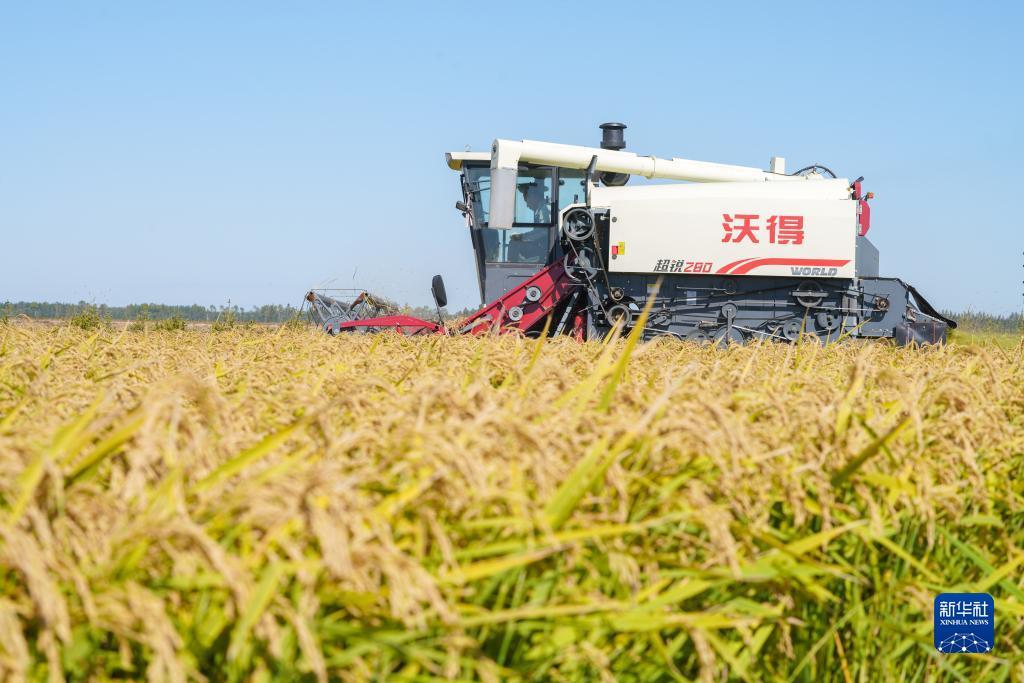 国际赢三张网站